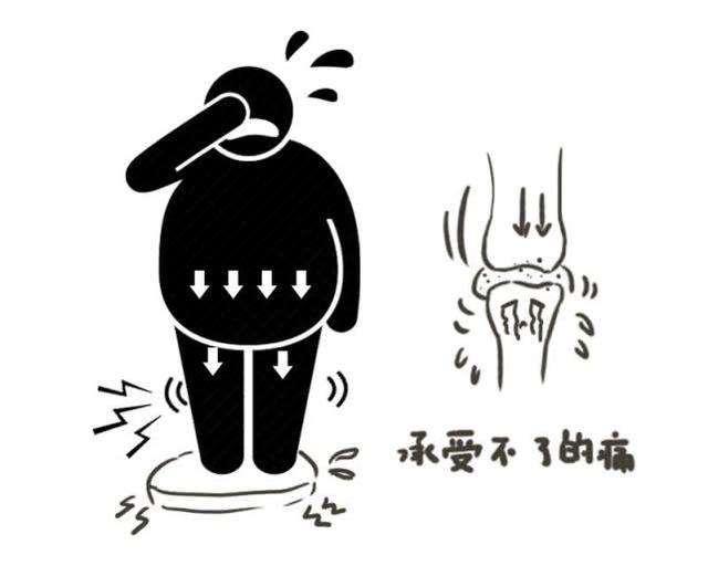 老年性关节炎该怎么吃？科学饮食，减少发炎，修复软骨！