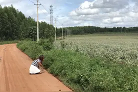 寻找弟弟李焕平的24年：曾借口找工作“卧底”成为“凶手”好友，嫌疑人落网供认后因找不到尸骨被释放图片