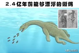 墨西哥发现的是外星文物？盘点多年来人类收获的7大神秘发现图片