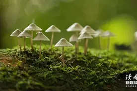 当你老了，去兄弟姐妹家走一圈，就会明白……图片