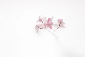 朋友圈里，常发这三种动态的女人，不能深交图片