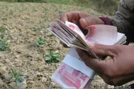 土地征收，补偿费用有哪些？补给谁？怎么赔？村民自己说了算图片