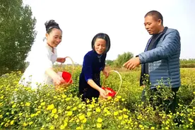 临淄：当代“陶渊明”采菊河崖东图片
