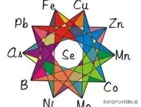 带你发掘茶叶中的“药品”成分