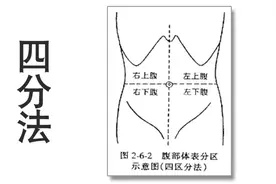 孩子总说肚子疼，到底是哪里疼？父母该怎么办？图片