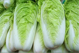 保存大白菜时，最忌放地上了！教你3个土方法，白菜放一个都新鲜视频封面