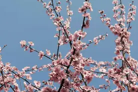 是金子放在哪里都会发光？错，只有被看见时，你才是金子图片