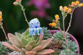 早报来啦，8月19日，星期四图片