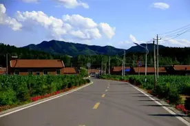 山东：到2025年，新建、改造农村道路4万公里图片