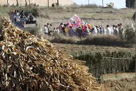 农村俗语“雨打坟，出贵人，雨打棺，财人疏”，啥意思？在理吗？图片