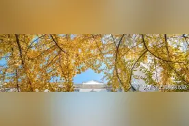 在上海买豪宅？看这一篇就够了｜上海买房指南自住篇（八）图片