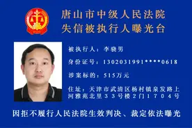 河北3市实名曝光！这40人将处处受限图片