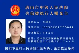 河北3市实名曝光！这40人将处处受限图片