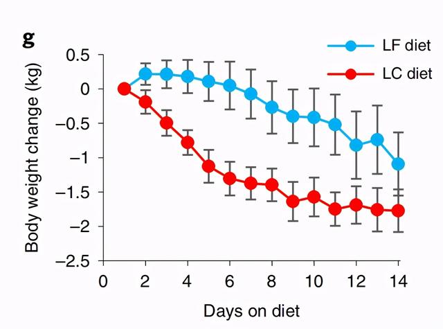 范志红老师（应该没有）刻意抹黑生酮饮食