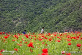 伊朗神奇地方，同时能拥有春夏秋冬四个季节图片