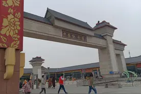 花开盛世——中国牡丹园游记图片