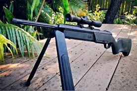 随游戏红极一时的“鸟狙”找到了 原来就是奥地利的这款经典名枪图片