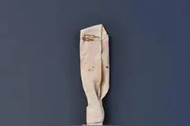 学党史 明真相 | 红领巾，是怎样诞生的？图片