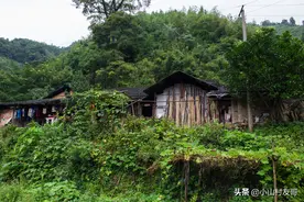 小伙伴感叹进入了原始森林，这样的小山村，你会喜欢吗？图片