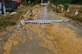 西安农民粮食被大雨冲走，这分明是我小时候的记忆。图片