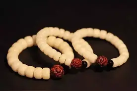 菩提根知识解读，看完你就全懂了图片