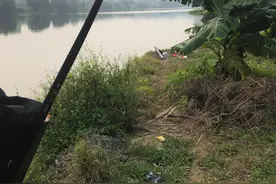 国庆假流溪河（翘嘴连杆）图片