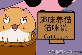 铲屎官不要随意让大猫和幼猫分别图片