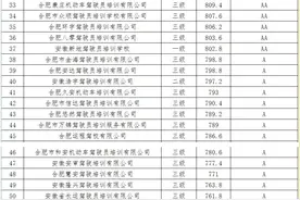 学车的速看！合肥两所驾校被评不合格 被责令限期整改图片