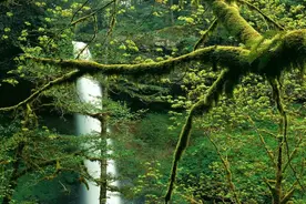 2.3亿年前，地球下过一场持续200万年的暴雨，如今正在重演图片