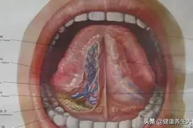 舌头下面有“青筋”，说明身体哪里有问题？大部分人根本不清楚！图片