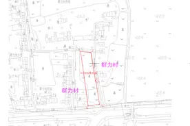 蔡甸区（侏儒山街群力村的集体土地）征地补偿安置方案（第10号）图片