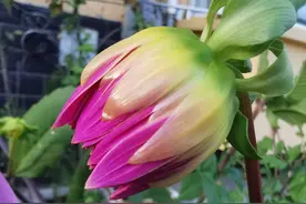 围场方言大全四十一（K2）图片