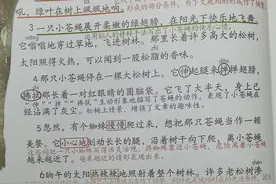 四年级下册语文，《琥珀》《飞向蓝天的恐龙》笔记图片