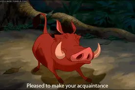 野猪闯祸与民众同罪，去留怎么定？图片