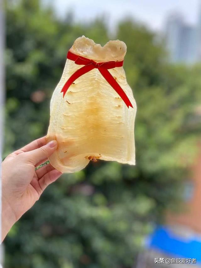 花胶热性还是凉性 2026年花胶热性还是凉性食物