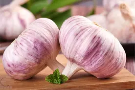 鲜大蒜保存有妙招，牢记3个小技巧，鲜大蒜不易霉，数月也新鲜图片