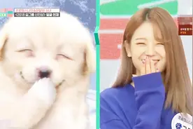 张奎俐模仿狗狗表情一模一样 自己的外号就是狗狗