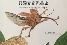 绘本推荐 | 最美的法布尔昆虫记《打洞专家象鼻虫》图片