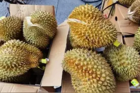 买榴莲，尖的好还是圆的好？牢记3点，挑母榴莲，皮薄肉多还香甜图片