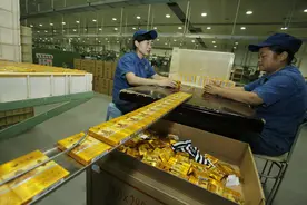 我，35岁，在烟草局工作10年，透露到手工资，揭露真实工作经历图片