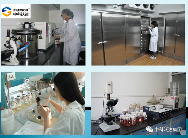 鐩婄珛鍋ワ紙鐗涚緤涓撶敤锛夆€斾腑绉戞矁杈句腑鑽椿鑿屽彂閰点€侀槻鐥呮姉鐥呬績鐢熼暱