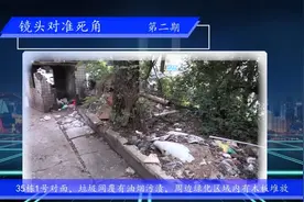 【全国文明城市整改攻坚曝光台】第二期图片