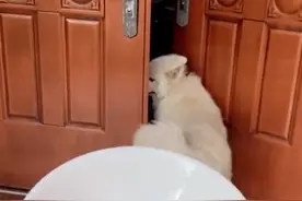 浙江一女子嫁得近，带碗筷回娘家“蹭饭”，弟弟眼睛瞪得像铜铃图片