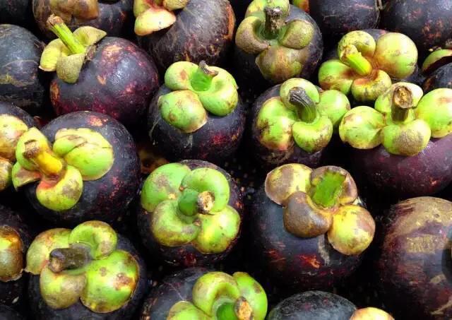 海南的水果上市时间表你知道有什么水果吗？