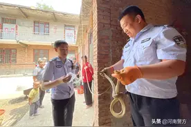 豫见豫警丨“不速之客”惊现村民家中,民警化身“捕蛇达人”图片