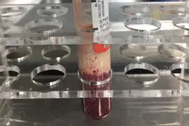 为什么越来越多年轻人有“奶茶瘾”？盘点奶茶的三宗罪，少喝为妙图片