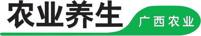 占千儿