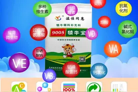 犊牛保命三针溢佳同惠犊牛宝图片