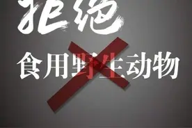 最新禁食目录，狗肉、燕窝、蛇恐成“绝唱”，这27种肉可放心食用图片