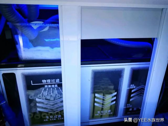 给底滤鱼缸做干湿分离，理论合理，效果惹争议